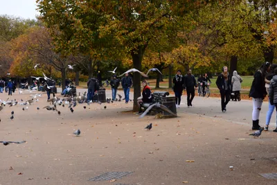 DSC_0648 (Large).JPG